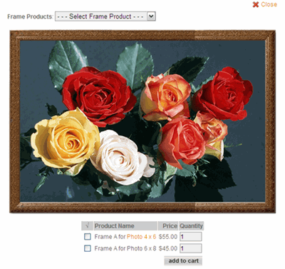 frame sample